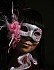 Carnival of Venice 2011
