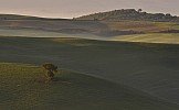TOSCANA MAY 2011