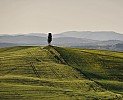 TOSCANA MAY 2011