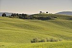 TOSCANA MAY 2011