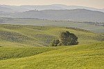TOSCANA MAY 2011