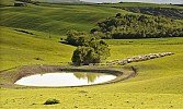 TOSCANA MAY 2011