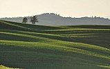 TOSCANA MAY 2011