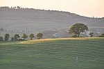 TOSCANA MAY 2011