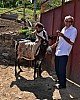 2013 ARMENIA / ARTSAKH