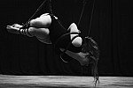 2019 SHIBARI [ Strbačka Petr ]